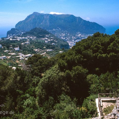 Sorrento 007 Capri, Kampanien, Campania, Italien, Italia, Italy