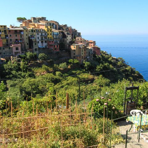 Cinque Terre 008 Corniglia, Cinque Terre, Ligurien, Liguria, Italien, Italia, Italy