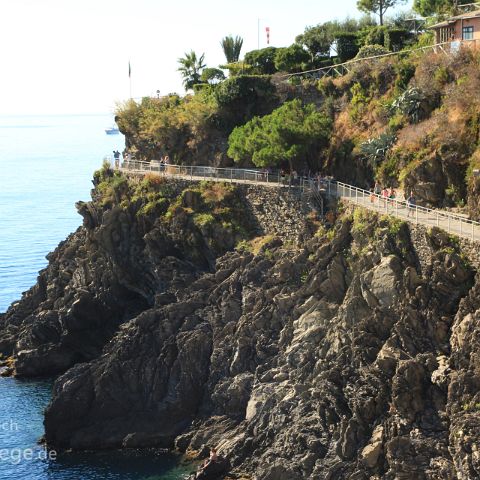 Cinque Terre 010 Via dell Amore, Corniglia, Ligurien, Liguria, Italien, Italia, Italy