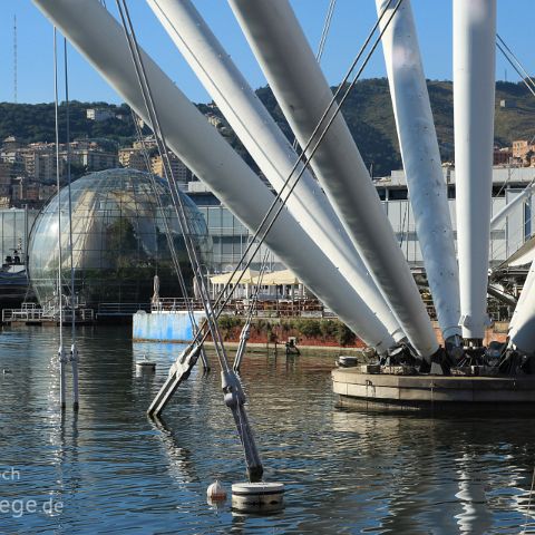 Genua 002 Hafen, Genua, Ligurien, Liguria, Italien, Italia, Italy