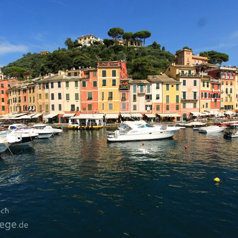 Portofino 003 Hafen, Portofino, Ligurien, Liguria, Italien, Italia, Italy