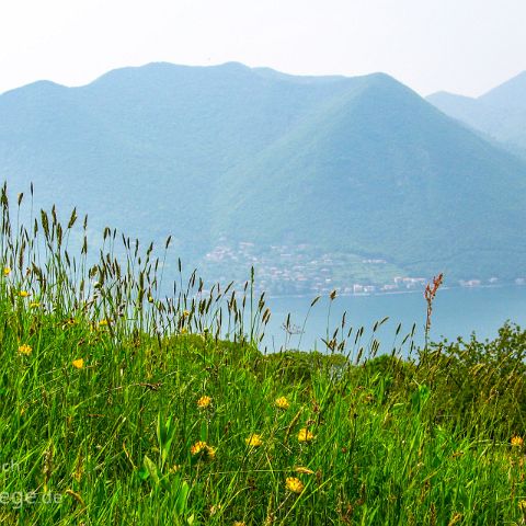 Iseo See 010 Monte Isola, Iseo See, Lombardei, Italien, Italia, Italy