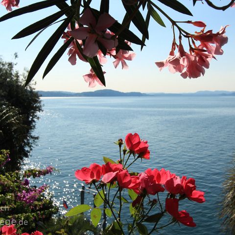 Lago Maggiore 008 Isola Madre, Stresa, Lago Maggiore, PIemont, Italien, Italia, Italy