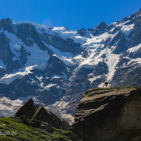 Monte Rosa 005 Belvedere, Monte Rosa, Macugnagna, PIemont, Italien, Italia, Italy