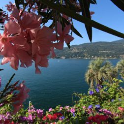 Lago Maggiore - Piemont - Bilder - Sehenswürdigkeiten - Fotos - Pictures Faszinierende Reisebilder vom Teil des Lago Maggiore im Piemont. Villa Taranto, Isola Bella, Isola Madre den beiden...