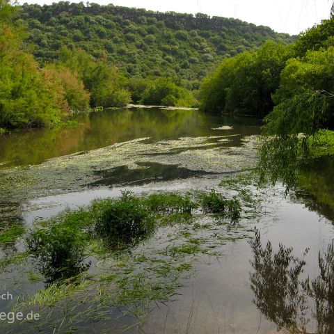 Nuoro 004 Su Gologone, Nuoro, Sardinien, Sardegna, Italien, Italia, Italy