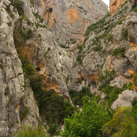 Nuoro 010 Gola Gorroppu, Nuoro, Sardinien, Sardegna, Italien, Italia, Italy