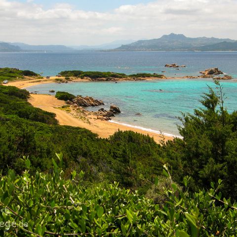 Olbia Tempio und La Maddalena 007 Isola Maddalena, Sardinien, Sardegna, Italien, Italia, Italy