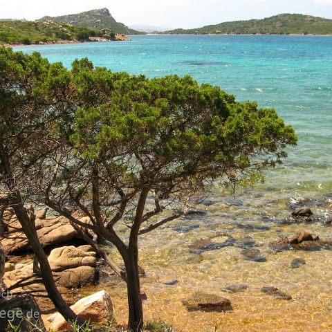 Olbia Tempio und La Maddalena 009 Isola Maddalena, Sardinien, Sardegna, Italien, Italia, Italy