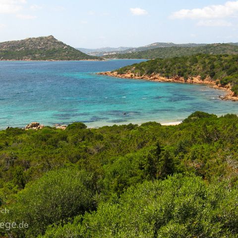 Olbia Tempio und La Maddalena 010 Isola Maddalena, Sardinien, Sardegna, Italien, Italia, Italy