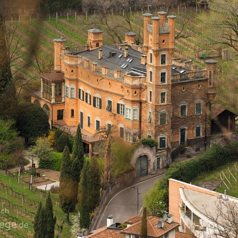 Bozen 007 Weinberg, Bozen, Suedtirol, Alto Adige, Italien, Italia, Italy