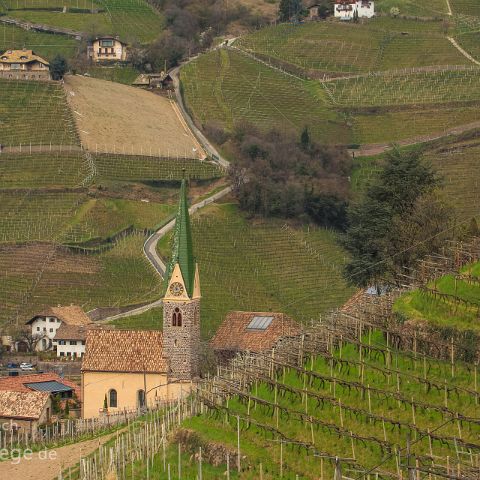 Bozen 008 Weinberg, Bozen, Suedtirol, Alto Adige, Italien, Italia, Italy