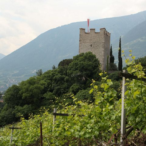 Burggrafenamt 004 Tappeinerweg, Meran, Suedtirol, Alto Adige, Italien, Italia, Italy