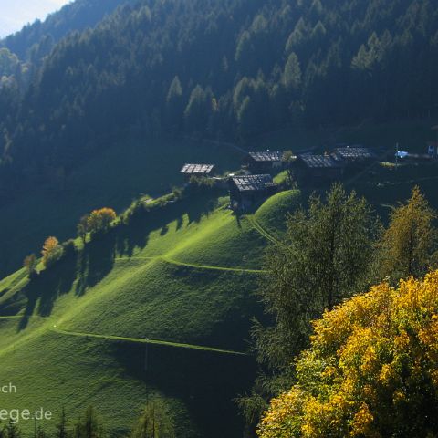 Burggrafenamt 010 Ultental, Suedtirol, Alto Adige, Italien, Italia, Italy