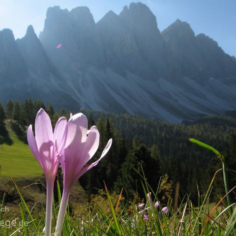 Salten-Schlern 003 Geisslerspitzen, Vilnoess, Suedtirol, Alto Adige, Italien, Italia, Italy