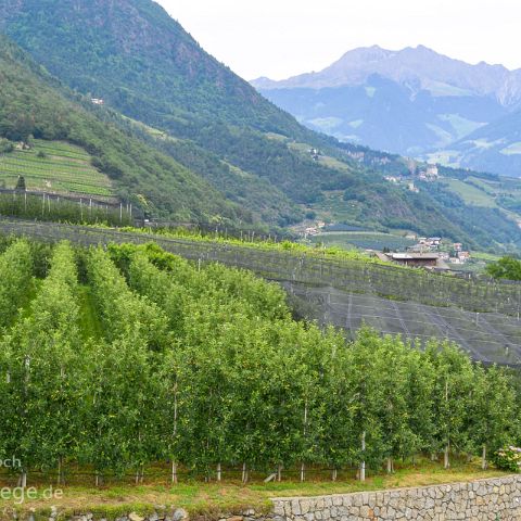 Vinschgau 008