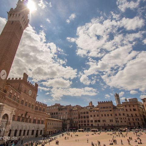 Siena 003 Il Campo, Siena