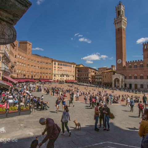 Siena 004 Il Campo, Siena