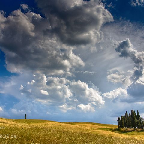 Val d Orcia 001 Zypressenhain, Val d´Orcia