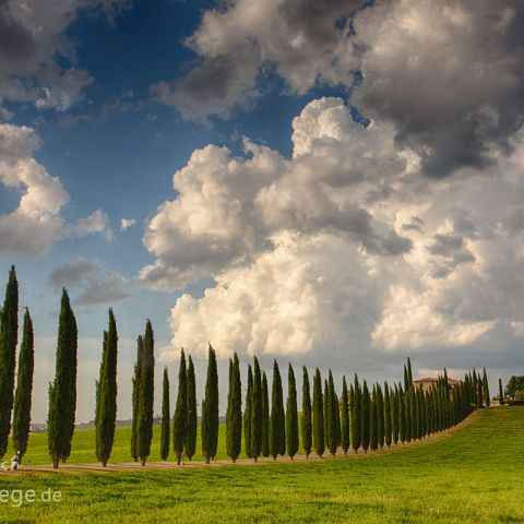 Val d Orcia 003 Zypressenallee, Val d´Orcia