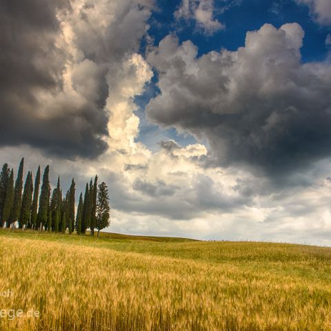 Val d Orcia 004 Gewitterwolken mit Zypressenhain, Val d´Orcia