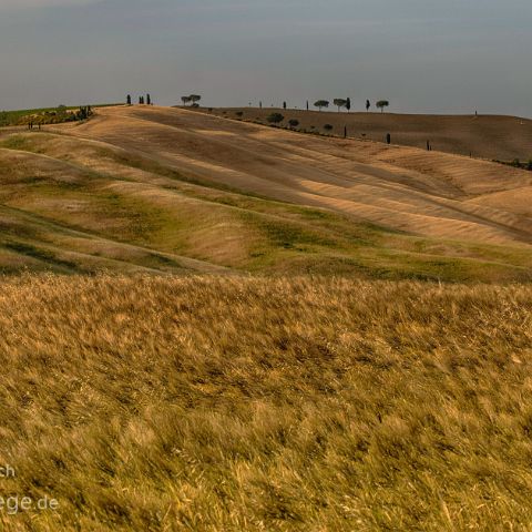 Val d Orcia 007 Panoramablick, Val d´Orcia