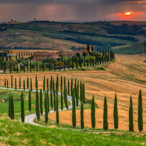 Val d Orcia 010 Sonnenuntergang mit Zypressenallee, Val d´Orcia