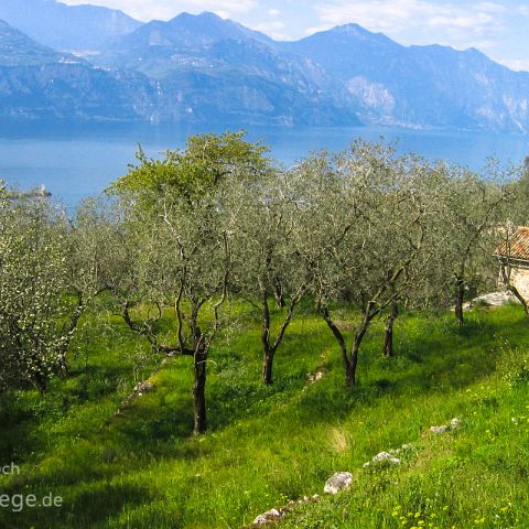 Gardasee 003 Gardasee, Venetien, Italien, Italia, Italy