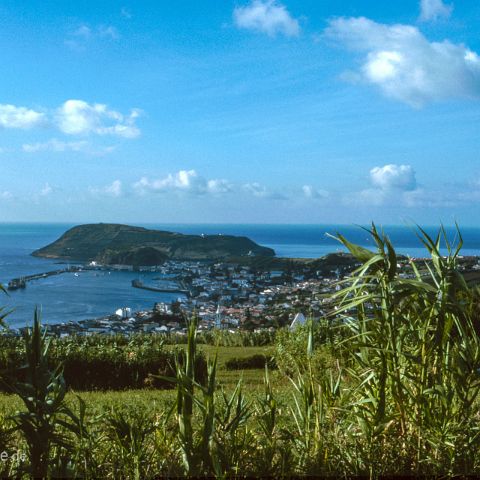 Azoren 003 , Faial, Azoren, Acores, Portugal