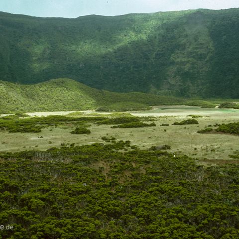 Azoren 005 Caldera, Faial, Azoren, Acores, Portugal