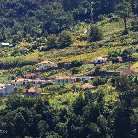 Madeira 004 Blandy´s Garden, Madeira, Portugal