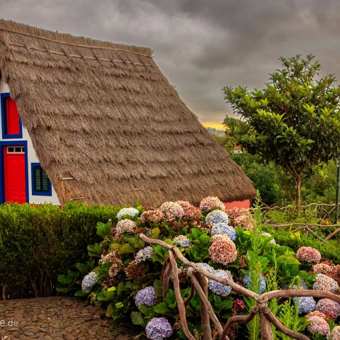 Madeira 005 traditionelle Steinhäuschen mit einem reetgedeckten, fast bis auf den Boden reichenden Giebeldach in Santana