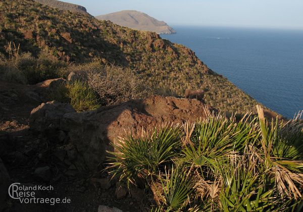 Almeria - Andalusien - Bilder - Sehenswürdigkeiten - Fotos - Pictures 