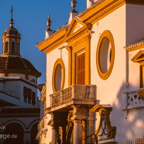 Sevilla 008 Stierkamparena, Abendsonne, Sevilla, Andalusien, Andalusia, Andalucia, Spanien, Espana, Spain