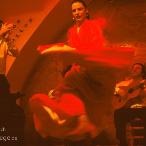 Sevilla 010 feuriger Flamenco, Sevilla, Andalusien, Andalusia, Andalucia, Spanien, Espana, Spain