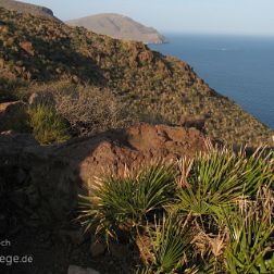 Almeria - Andalusien - Bilder - Sehenswürdigkeiten - Fotos - Pictures Faszinierende Reisebilder aus der Provinz Almeria, Andalusien: Naturpark Cabo de Gata. Unverbaute Küstenabschnitte gibt...