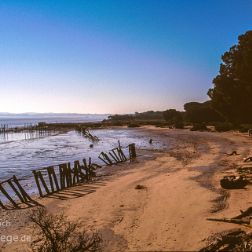 Huelva - Andalusien - Bilder - Sehenswürdigkeiten - Fotos - Pictures Faszinierende Reisebilder aus der Provinz Huelva, Andalusien: Der Coto de Donana ist mit 150.000 ha Spaniens größtes...