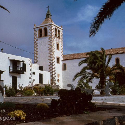 Fuerteventura 004 Fuerteventura, Kanaren, Canary Island, Islas Canaria, Spanien, Espana, Spain