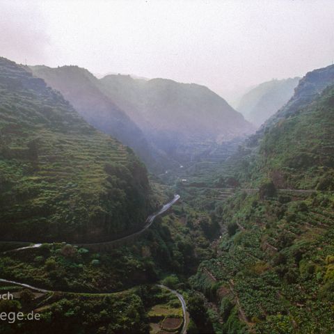 La Palma 004 Laurasilvawald, La Palma, Kanaren, Canary Island, Islas Canaria, Spanien, Espana, Spain