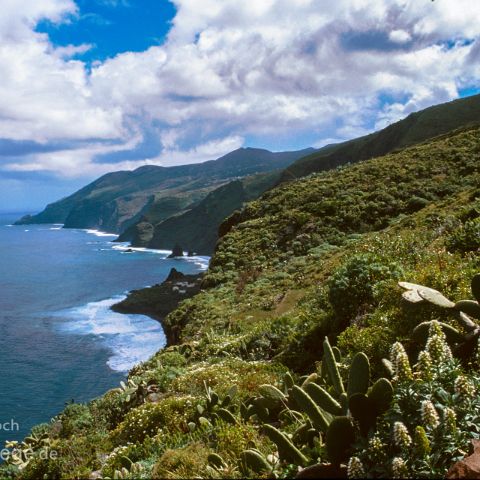 La Palma 008 El Tablado, La Palma, Kanaren, Canary Island, Islas Canaria, Spanien, Espana, Spain