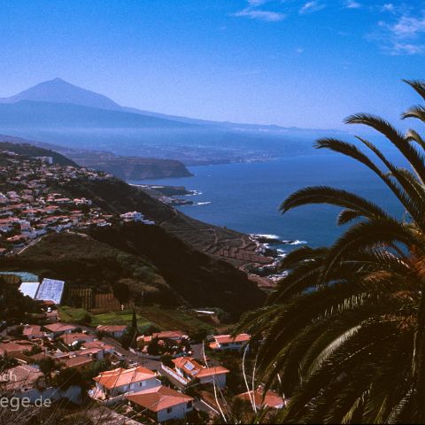 Teneriffa 007 Teneriffa, Teide, Kanaren, Canary Island, Islas Canaria, Spanien, Espana, Spain