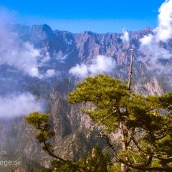 La Palma - Kanarische Inseln - Bilder - Sehenswürdigkeiten - Fotos - Pictures Faszinierende Reisebilder aus La Palma, Kanarische Inseln: Nationalpark Caldera de Taburiente, Santa Cruz de la Palma,...